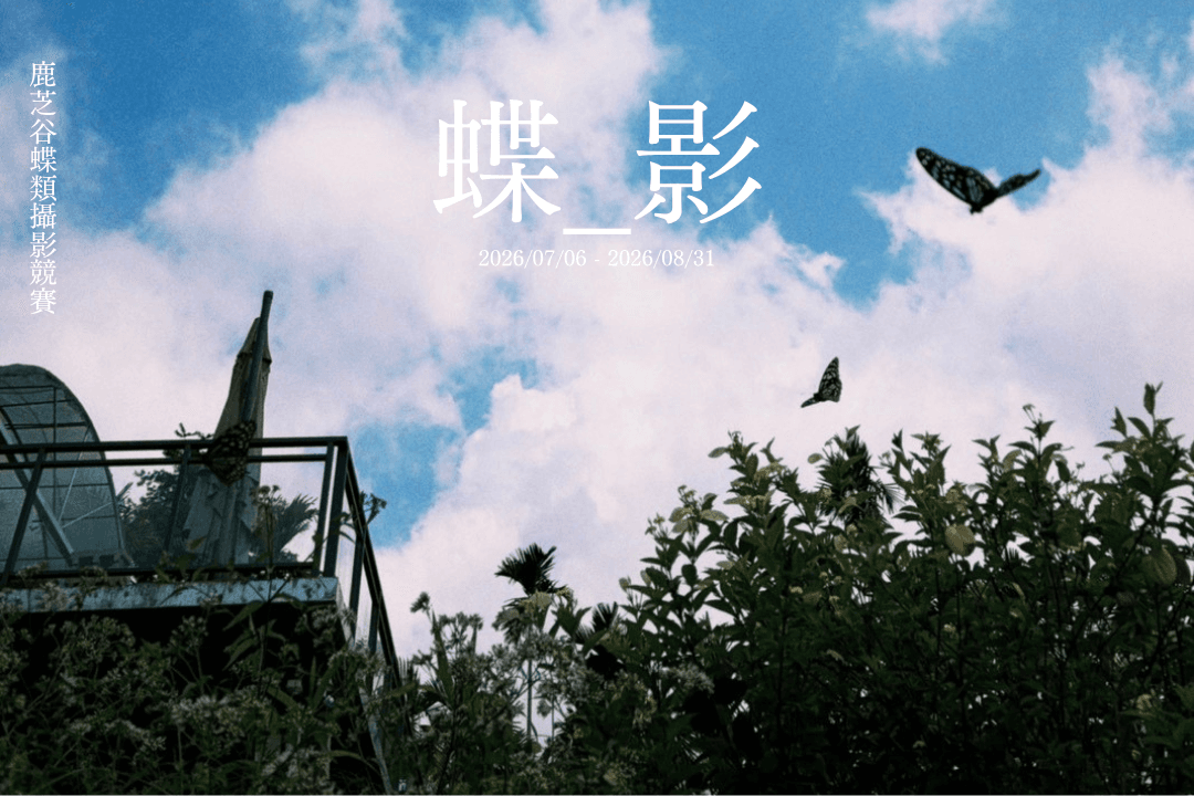 《蝶_影》鹿芝谷蝶類攝影競賽